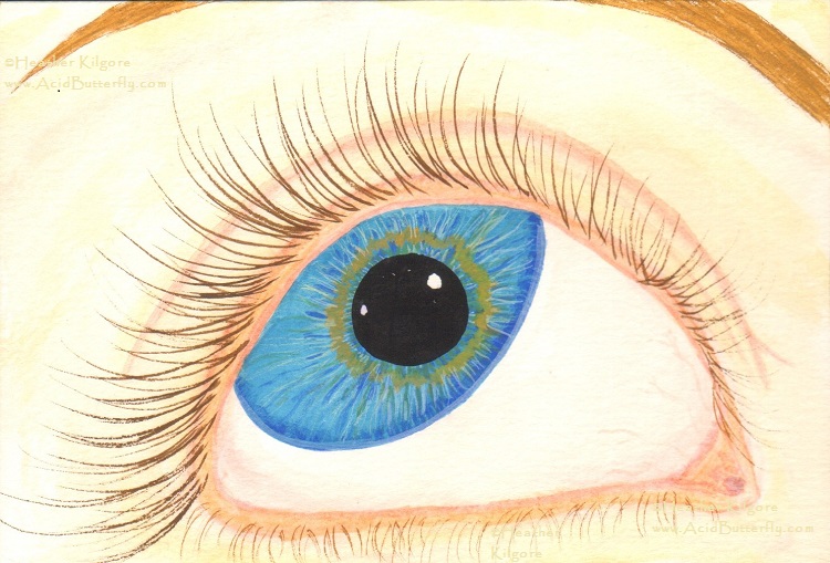 Eye Study 1